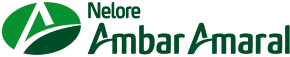 Nelore Âmbar Amaral