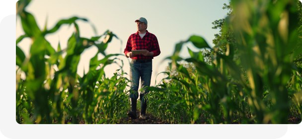 Plante e Proteja sem Preocupações — Seguro Agrícola